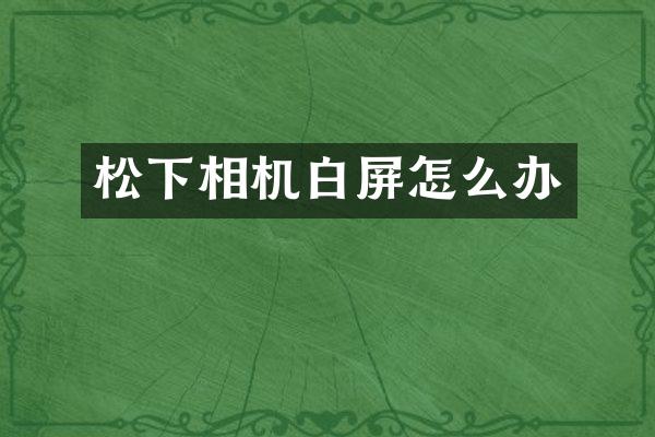 松下相机白屏怎么办