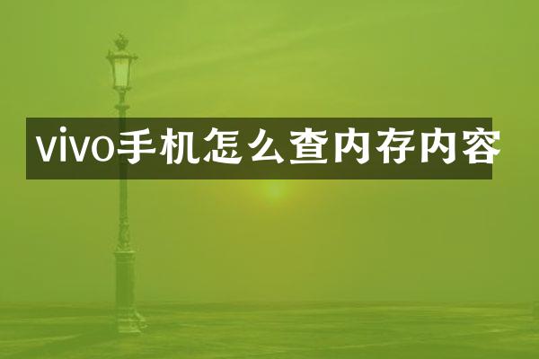 vivo手机怎么查内存内容