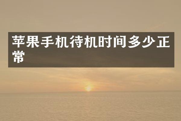 苹果手机待机时间多少正常