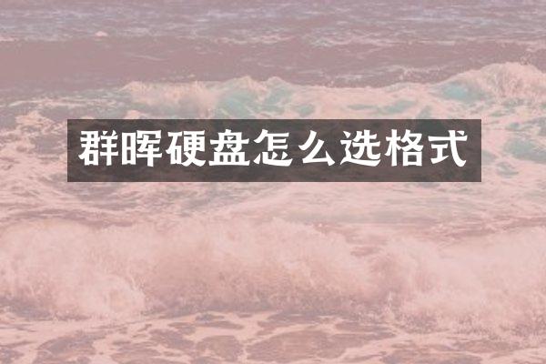 群晖硬盘怎么选格式