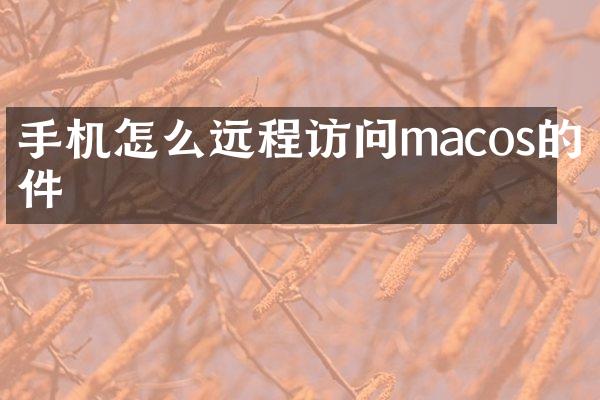 手机怎么远程访问macos的文件