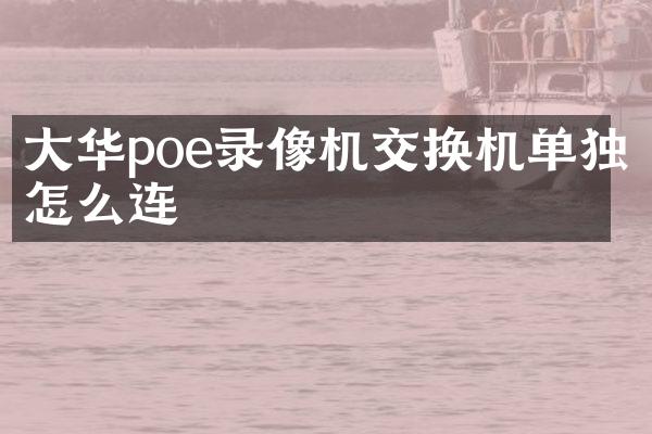 大华poe录像机交换机单独怎么连