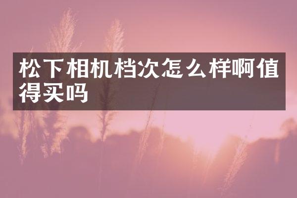 松下相机档次怎么样啊值得买吗