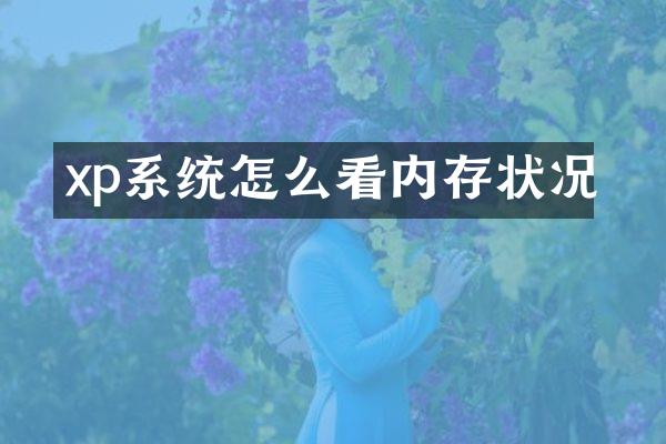 xp系统怎么看内存状况