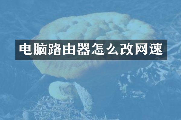 电脑路由器怎么改网速