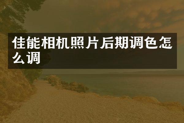 佳能相机照片后期调色怎么调