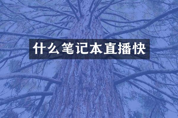 什么笔记本直播快