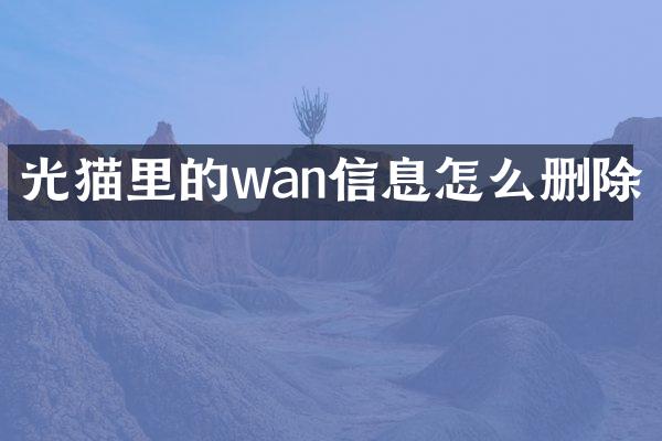 光猫里的wan信息怎么删除