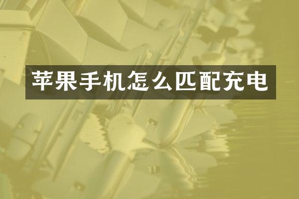 苹果手机怎么匹配充电