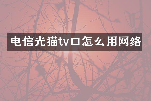 电信光猫tv口怎么用网络