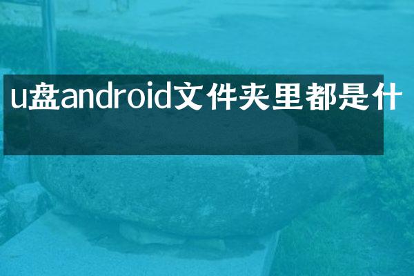 u盘android文件夹里都是什么