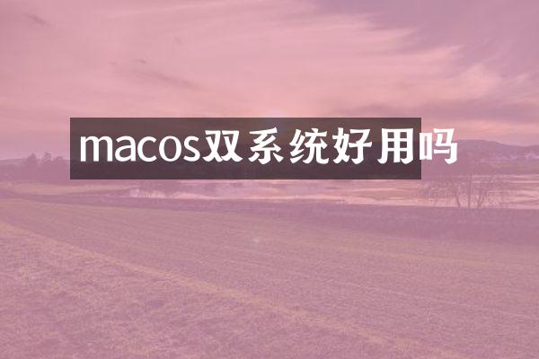 macos双系统好用吗
