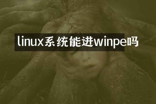 linux系统能进winpe吗