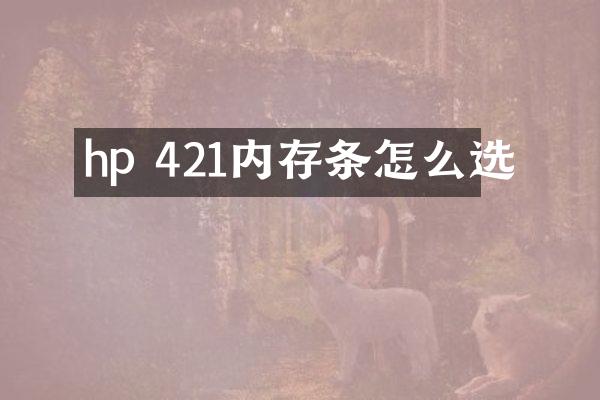 hp 421内存条怎么选