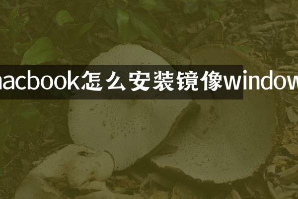 macbook怎么安装镜像windows