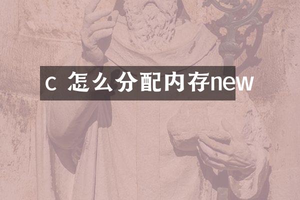 c 怎么分配内存new