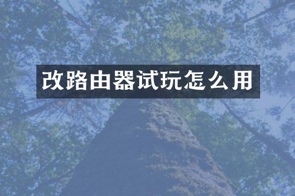 改路由器试玩怎么用