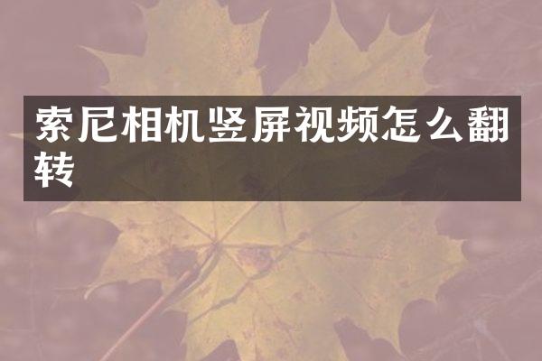 索尼相机竖屏视频怎么翻转