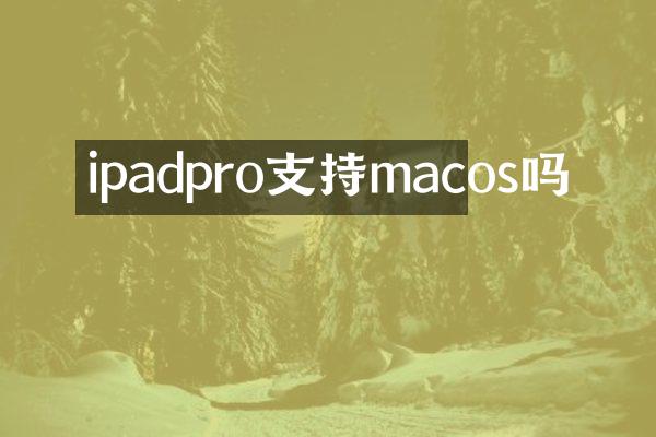 ipadpro支持macos吗