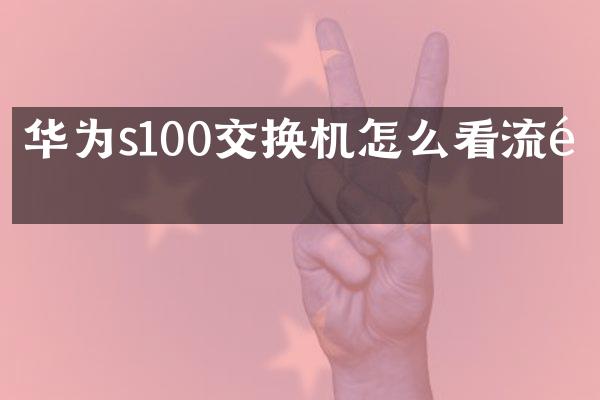华为s100交换机怎么看流量