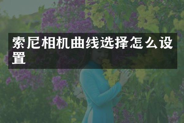 索尼相机曲线选择怎么设置