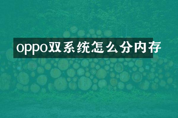 oppo双系统怎么分内存