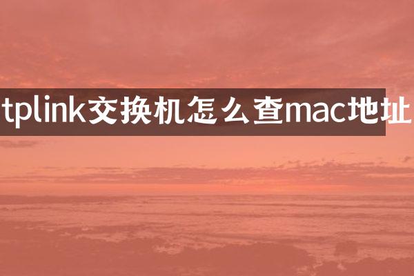 tplink交换机怎么查mac地址
