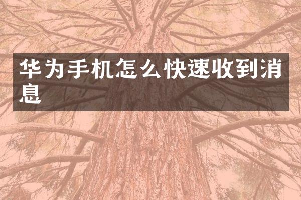华为手机怎么快速收到消息