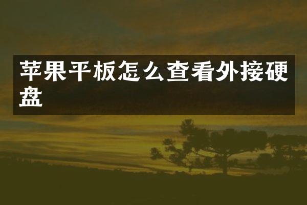 苹果平板怎么查看外接硬盘