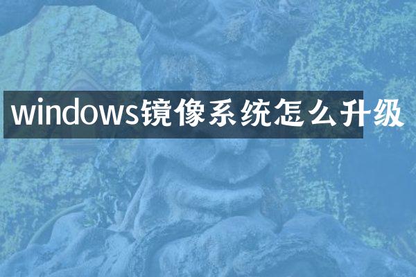 windows镜像系统怎么升级