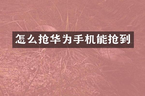 怎么抢华为手机能抢到