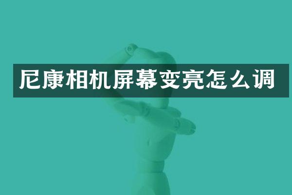 尼康相机屏幕变亮怎么调