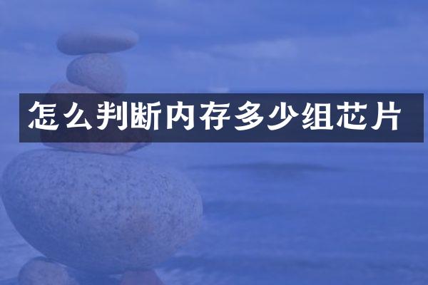 怎么判断内存多少组芯片