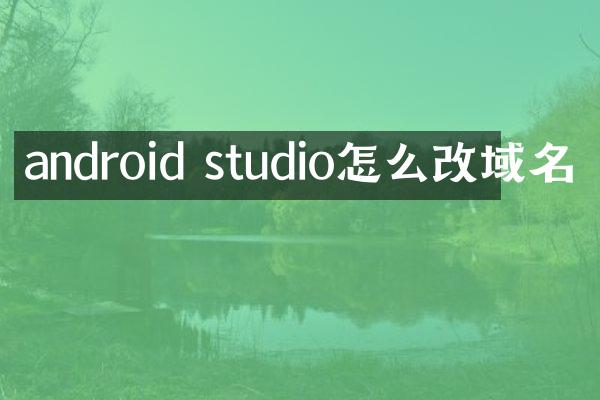 android studio怎么改域名