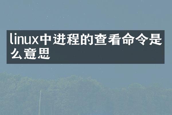 linux中进程的查看命令是什么意思