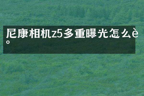 尼康相机z5多重曝光怎么调