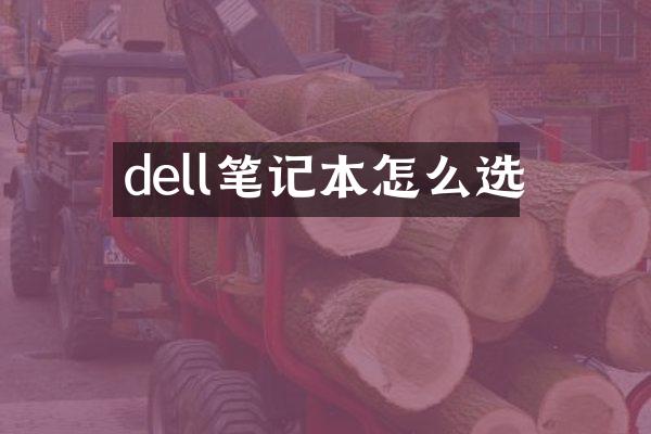 dell笔记本怎么选