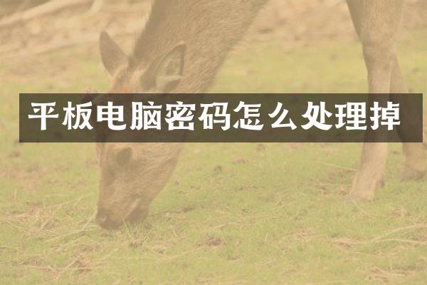 平板电脑密码怎么处理掉