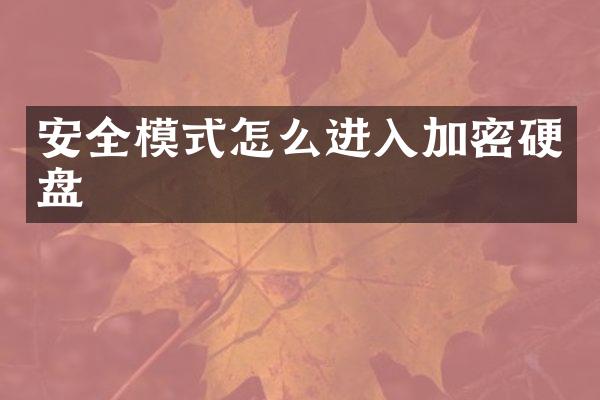 安全模式怎么进入加密硬盘