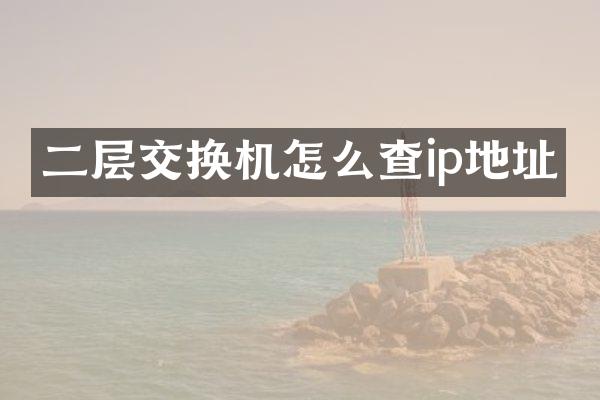 二层交换机怎么查ip地址