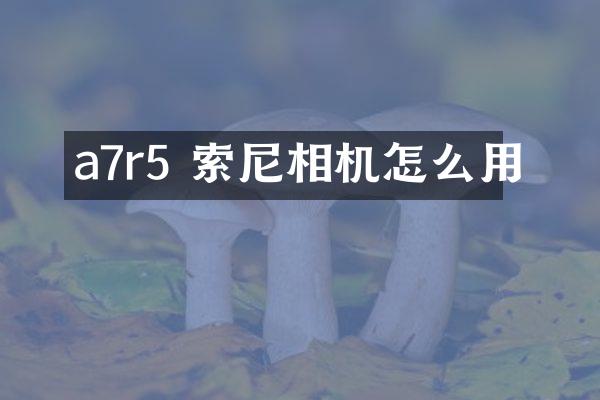 a7r5 索尼相机怎么用