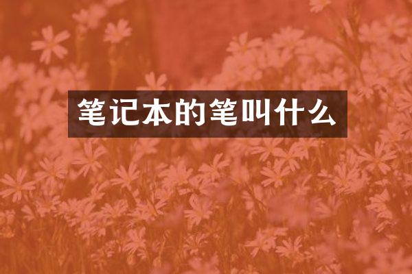 笔记本的笔叫什么