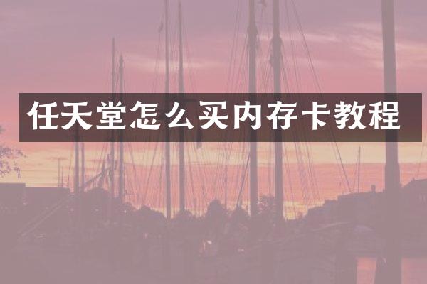 任天堂怎么买内存卡教程
