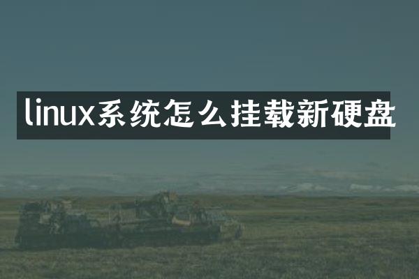 linux系统怎么挂载新硬盘