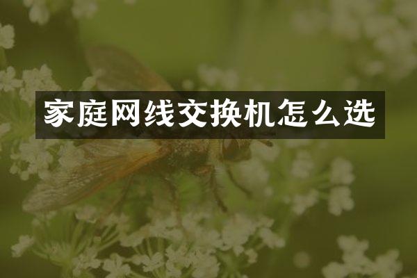 家庭网线交换机怎么选