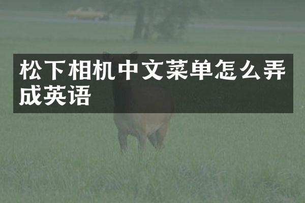 松下相机中文菜单怎么弄成英语