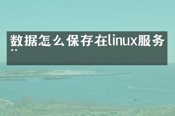 数据怎么保存在linux服务器