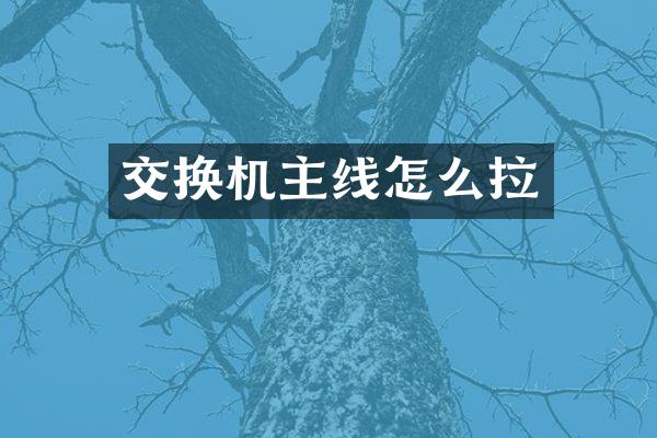 交换机主线怎么拉