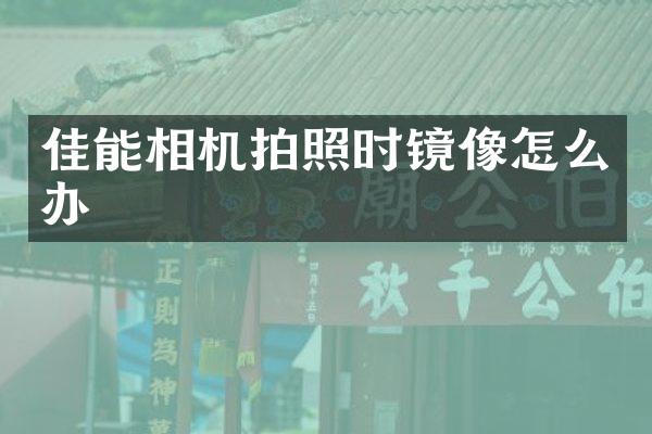 佳能相机拍照时镜像怎么办
