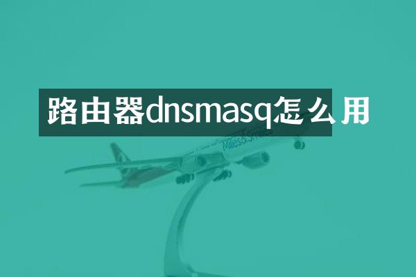 路由器dnsmasq怎么用